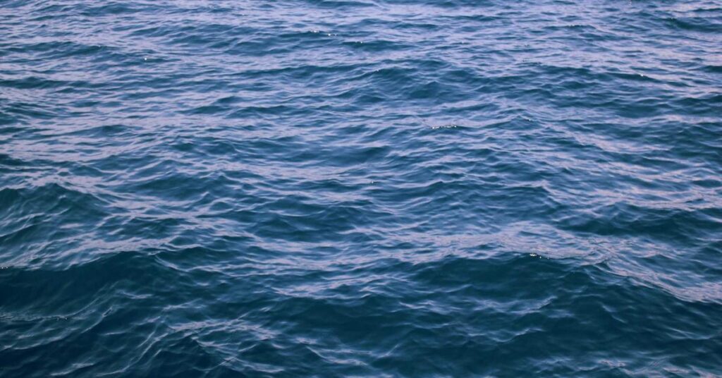 Blue ocean surface with gentle, rippling waves catching sunlight
