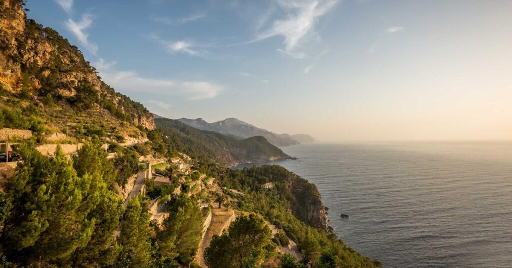 Coastal highway along a rocky hillside with pine trees, fading into a calm sea at sunset.